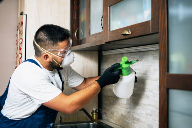 Best Rat Extermination Near Me  in Hiawatha, KS