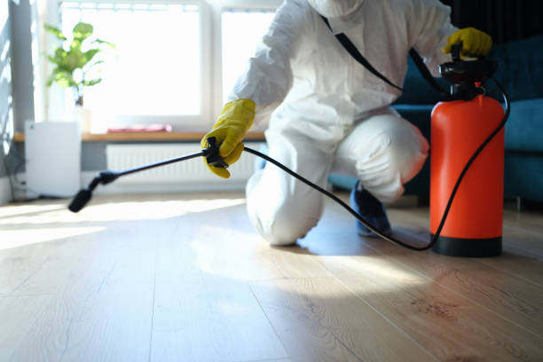 Best Termite Control Services  in Hiawatha, KS