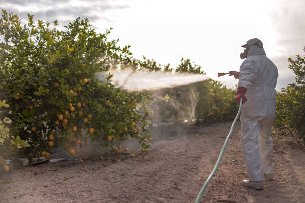  Hiawatha, KS Pest Control Pros