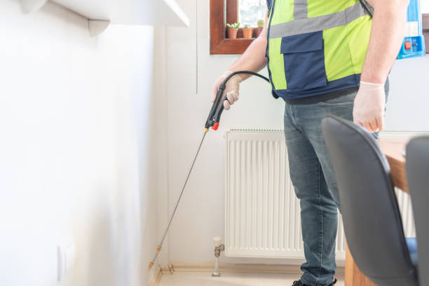 Best Ant Control Services  in Hiawatha, KS