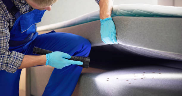 Best Best Pest Control Companies  in Hiawatha, KS