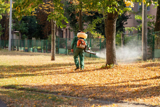 Best Residential Pest Control  in Hiawatha, KS