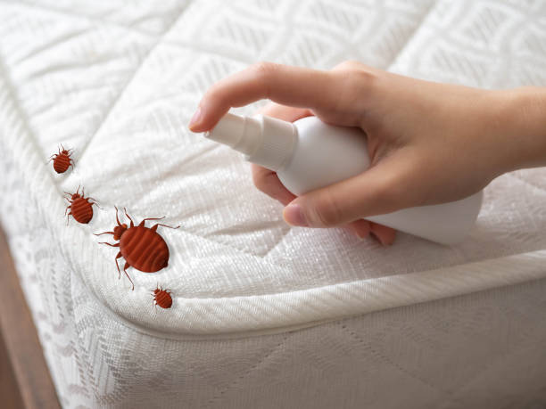 Best Mosquito Control Services  in Hiawatha, KS