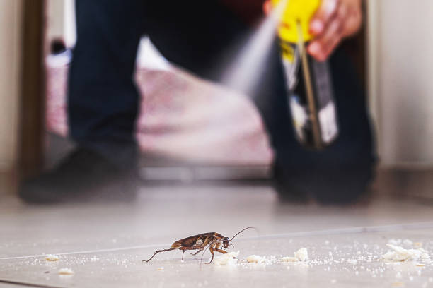 Best Exterminator Services  in Hiawatha, KS